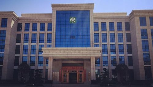 001201東瑞股份上市時間,東瑞上市時間是什么時候以及首日上漲規則