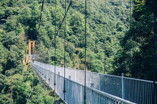 安徽驚險(xiǎn)刺激景區(qū)全攻略 5D玻璃橋、高空滑索，挑戰(zhàn)你的勇氣極限！