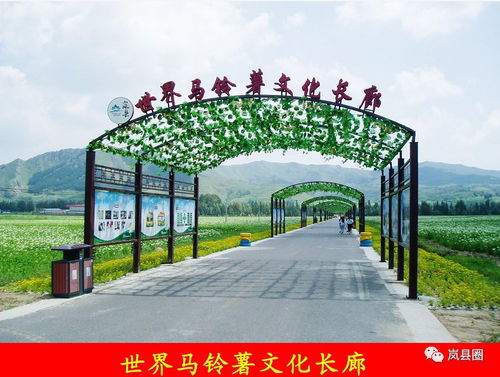 探索土豆花海與飲馬池景區(qū)的獨(dú)特魅力與游覽管理